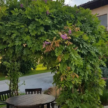 Ferienwohnung Mit Pool An Der Apfelstrasse Puch bei Weiz Exterior photo
