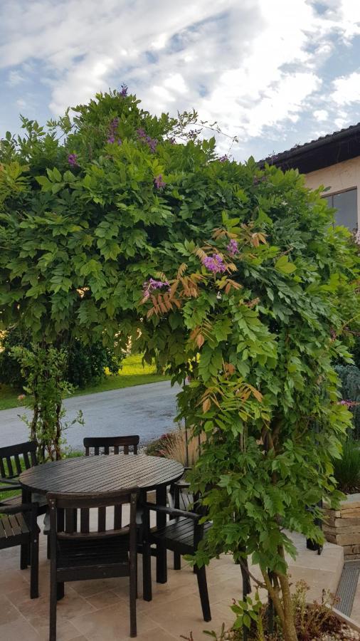Mit Pool An Der Apfelstrasse